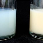 Как проверить жирность грудного молока