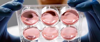 Как вести себя после ЭКО: рекомендации по образу жизни после переноса эмбрионов