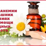 How to cure anemia with folk remedies at home