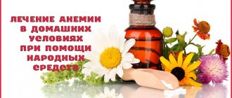 How to cure anemia with folk remedies at home