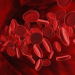 What are the reasons for increased protein?