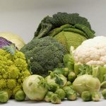 капуста при беременности