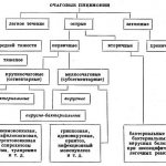 Классификация очаговых пневмоний