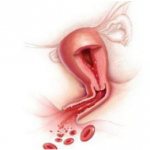 классификация