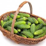 Basket with cucumbers