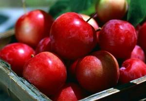 Красные яблоки имеют повышенное содержание сахаров, которые являются для будущей мамы дополнительным источником углеводов.