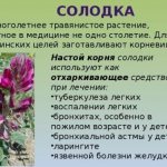 Лечебные свойства корня солодки. Инструкция как принимать сироп. Противопоказания