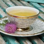 Лечение гепатита С народными средствами