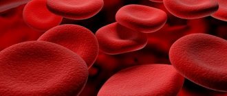 lymphocytes in the blood