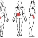 Localization of pain