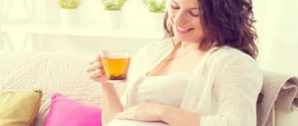 Raspberry tea during pregnancy