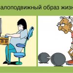 Малоподвижный образ жизни
