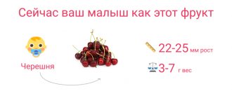 малыш на 9 неделе беременности