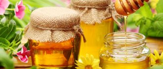 Мед при беременности