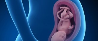medical indications for termination of pregnancy