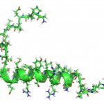 mechanism of hormonal regulation