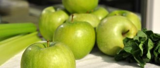 weekly menu for a nursing mother