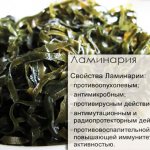 морская капуста при беременности