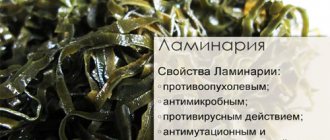 морская капуста при беременности
