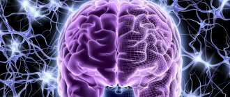 brain