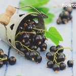Can pregnant women eat blackcurrants?