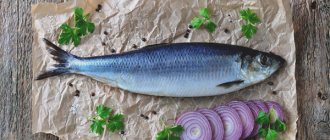 Can pregnant women eat herring?