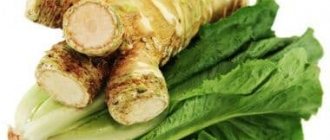 Is it possible to use horseradish during pregnancy?