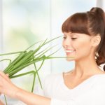 можно ли лук при беременности