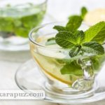 Можно ли пить чай с мятой при беременности