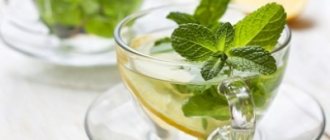 Можно ли пить чай с мятой при беременности