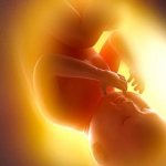 можно ли забеременеть после родов