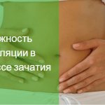 можно забеременеть до овуляции