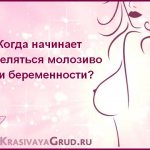 At what stage is colostrum released during pregnancy?