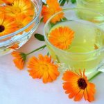 Настой из цветков календулы