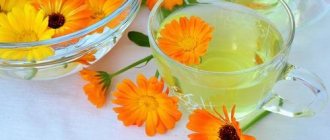 Infusion of calendula flowers