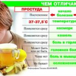 Don&#39;t confuse FLU with a cold. 8 main differences 