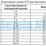 Standard hCG values ​​during pregnancy