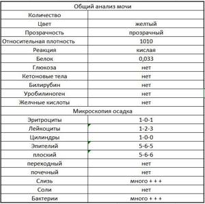 Анализ мочи расшифровка у детей год. Анализ мочи норма у детей 5 лет. Анализ мочи грудничка расшифровка. Анализ мочи у новорожденных норма. Норма анализа мочи у новорожденных детей.