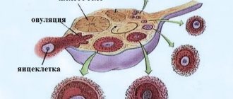 feature of the procedure