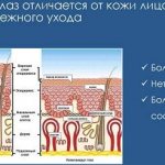 features of the skin around the eyes