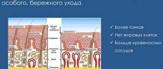 особенности кожи вокруг глаз