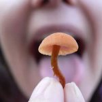 Отравление грибами