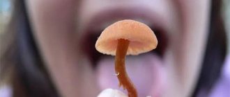 Mushroom poisoning