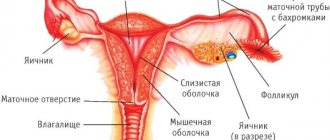 Tubal ligation in women. Health effects, side effects