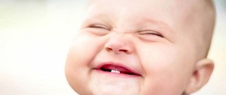 first teeth
