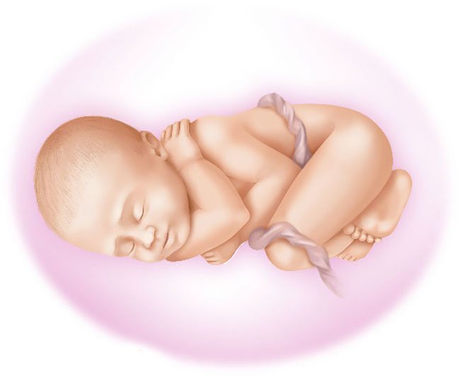 40 неделя беременности 2 роды. Малыш в животике. Младенец в утробе. Малыш в животике у мамы. Изображения малыша в животике.