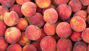 польза персиков при беременности