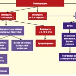 Elevated leukocytes in urine during pregnancy: algorithm of actions