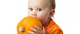 Feeding pumpkin