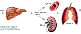 The principle of the release of acetone by the body
